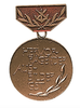 Bronze ′Ausbilder′ Gst Medal